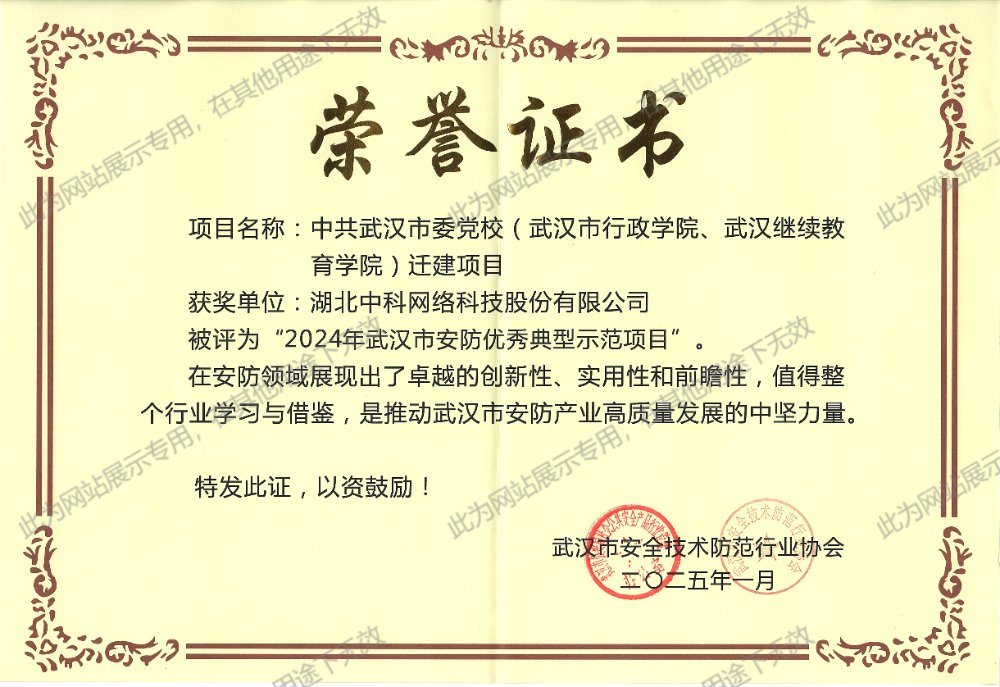 2024年武汉市安防优秀典型示范项目荣誉证书