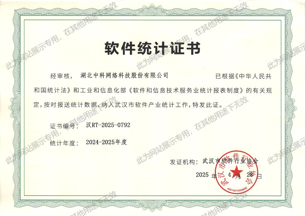 2024-2025年度软件统计证书